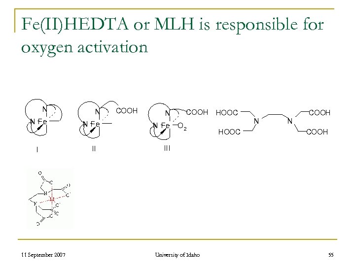 Fe(II)HEDTA or MLH is responsible for oxygen activation N N N Fe I 11