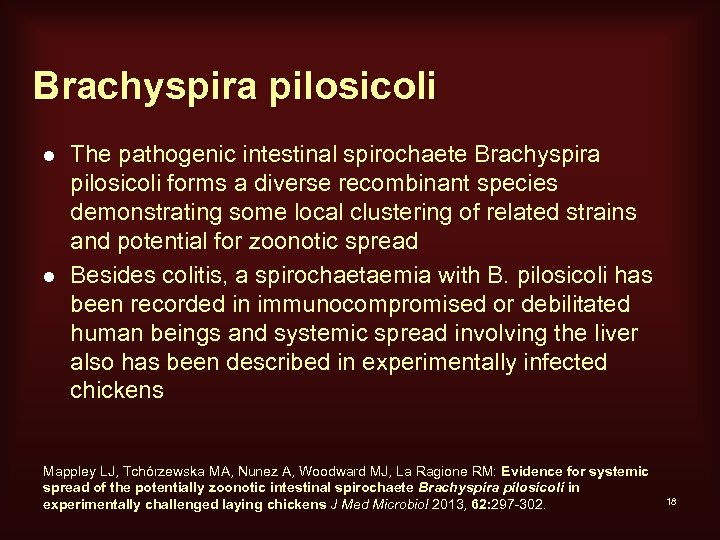 Brachyspira pilosicoli l l The pathogenic intestinal spirochaete Brachyspira pilosicoli forms a diverse recombinant