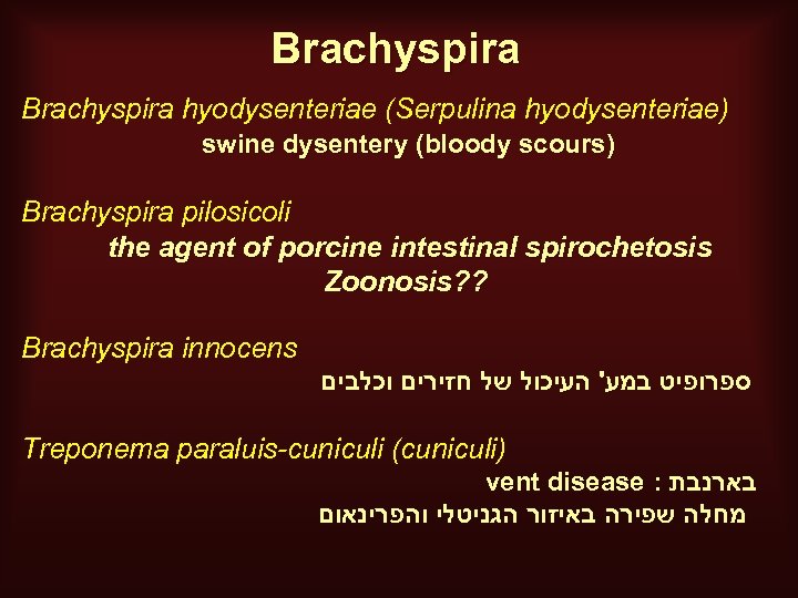 Brachyspira hyodysenteriae (Serpulina hyodysenteriae) swine dysentery (bloody scours) Brachyspira pilosicoli the agent of porcine