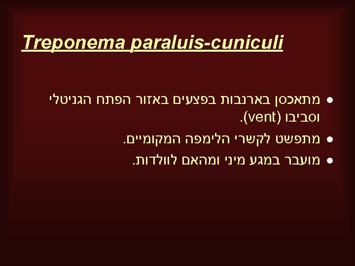  Treponema paraluis-cuniculi l l l מתאכסן בארנבות בפצעים באזור הפתח הגניטלי וסביבו ).