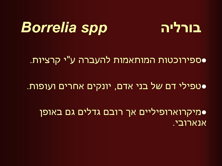  בורליה Borrelia spp l ספירוכטות המותאמות להעברה ע"י קרציות. l טפילי דם של