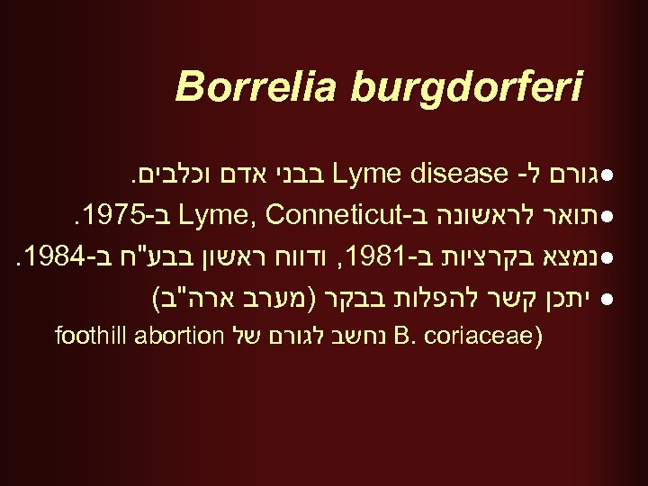  Borrelia burgdorferi l גורם ל- Lyme disease בבני אדם וכלבים. l תואר לראשונה