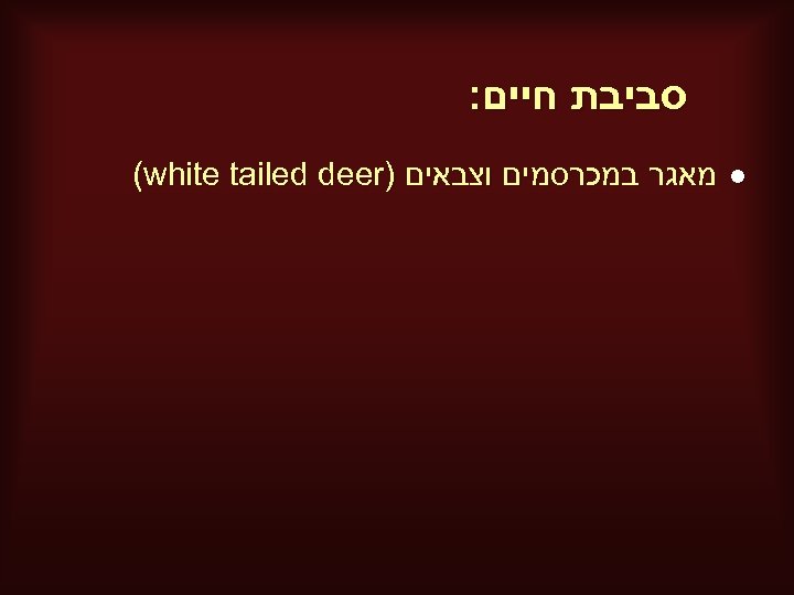  סביבת חיים: l מאגר במכרסמים וצבאים ) (white tailed deer 