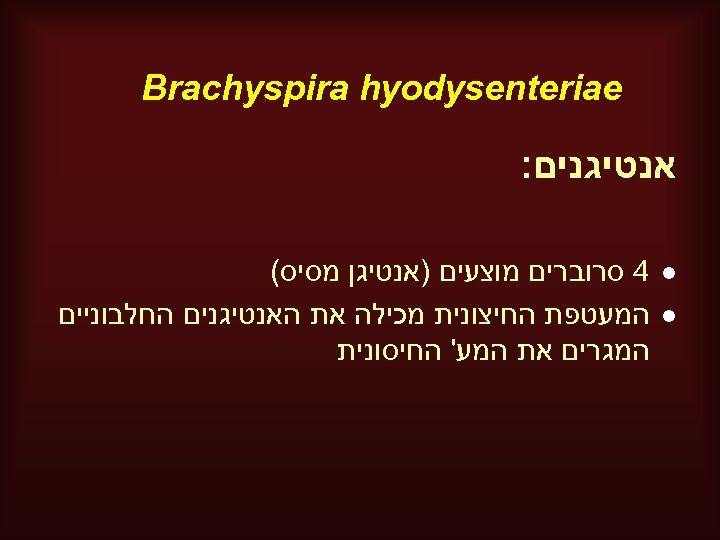  Brachyspira hyodysenteriae אנטיגנים: l l 4 סרוברים מוצעים )אנטיגן מסיס( המעטפת החיצונית מכילה