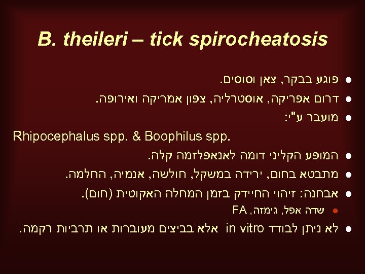  B. theileri – tick spirocheatosis l l l פוגע בבקר, צאן וסוסים. דרום