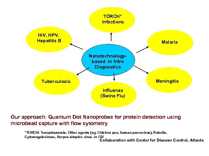 TORCH* Infections HIV, HPV, Hepatitis B Malaria Nanotechnologybased In Vitro Diagnostics Meningitis Tuberculosis Influenza