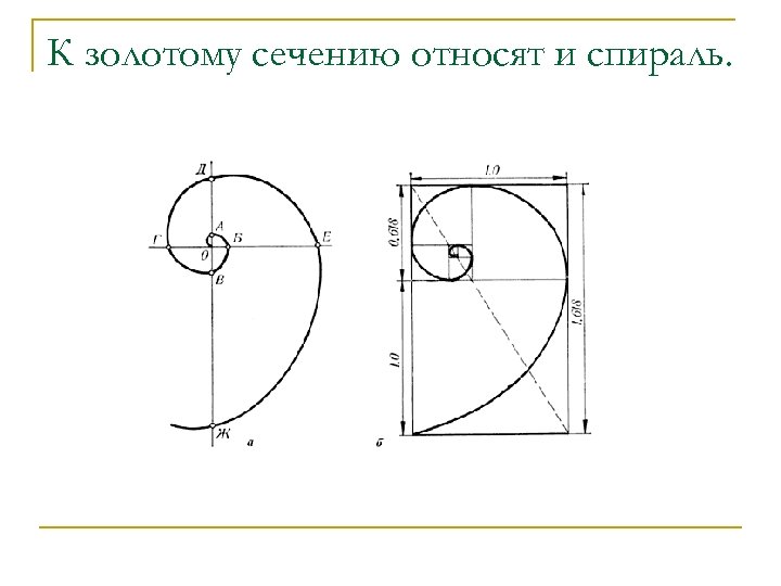 К золотому сечению относят и спираль. 