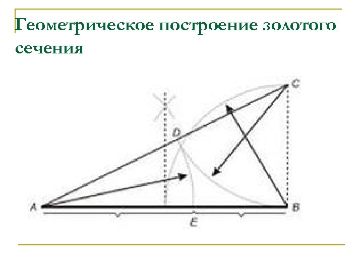 Геометрическое построение золотого сечения 