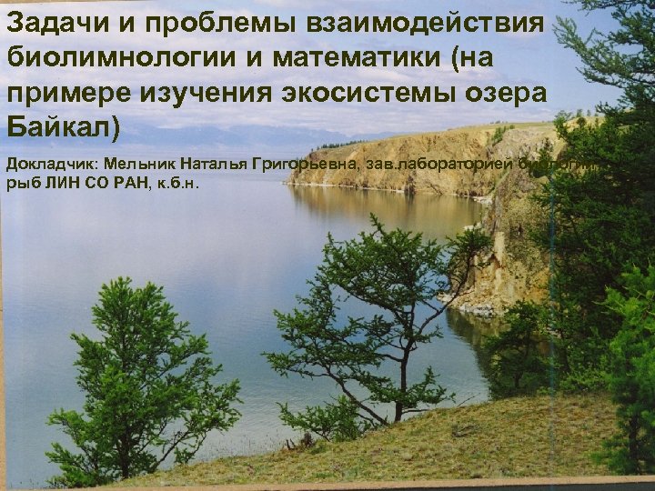 Задачи и проблемы взаимодействия биолимнологии и математики (на примере изучения экосистемы озера Байкал) Докладчик: