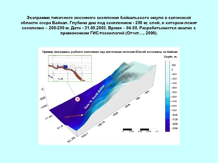 Эхограмма типичного весеннего скопления байкальского омуля в склоновой области озера Байкал. Глубина дна под