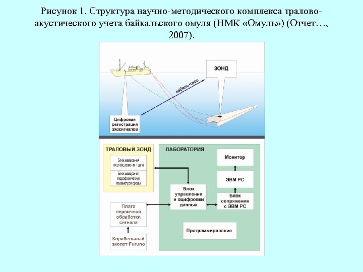 Рисунок 1. Структура научно-методического комплекса траловоакустического учета байкальского омуля (НМК «Омуль» ) (Отчет…, 2007).