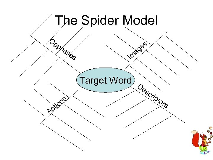 The Spider Model Op po sit es a Im Target Word cti A ns