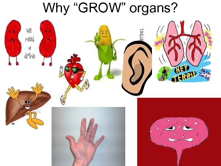 Why “GROW” organs? 