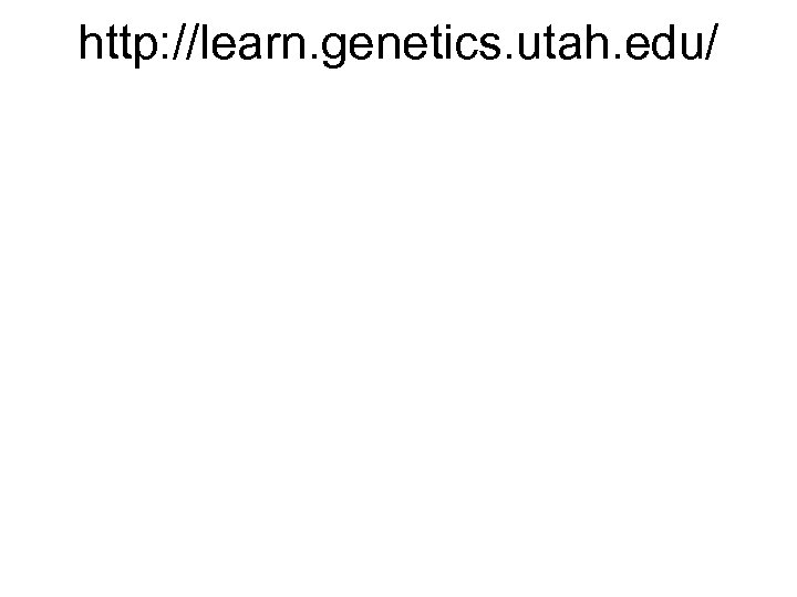 http: //learn. genetics. utah. edu/ 