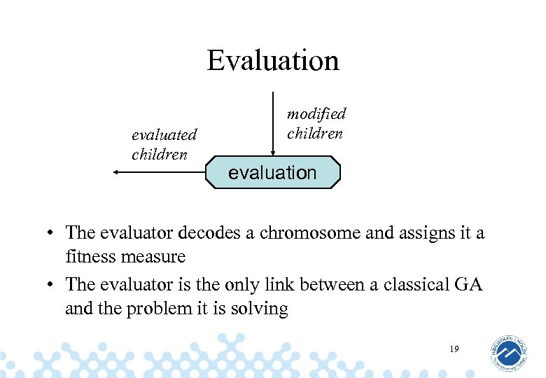 Evaluation evaluated children modified children evaluation • The evaluator decodes a chromosome and assigns