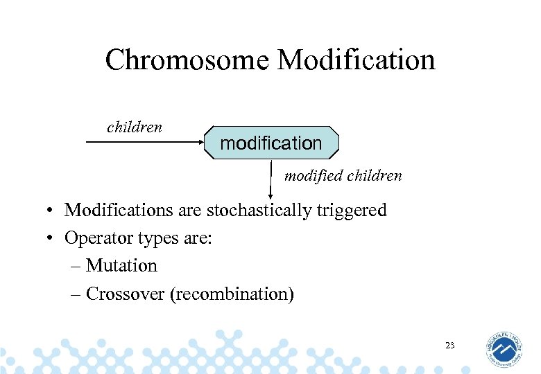 Chromosome Modification children modification modified children • Modifications are stochastically triggered • Operator types