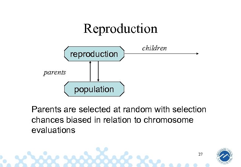 Reproduction reproduction children parents population Parents are selected at random with selection chances biased
