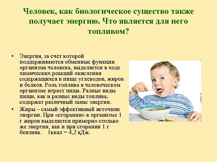 Человек, как биологическое существо также получает энергию. Что является для него топливом? • Энергия,