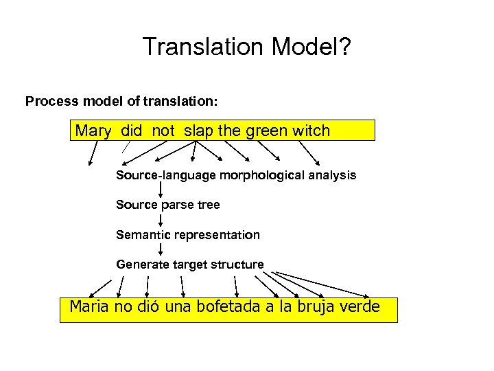 Translation Model? Process model of translation: Mary did not slap the green witch Source-language