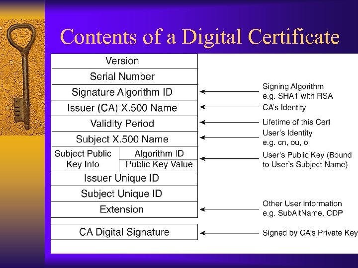 Contents of a Digital Certificate 