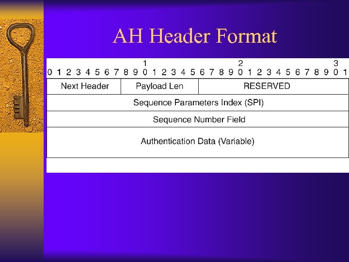 AH Header Format 