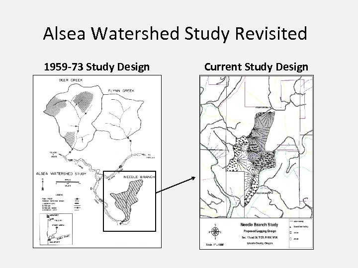 Alsea Watershed Study Revisited 1959 -73 Study Design Current Study Design 