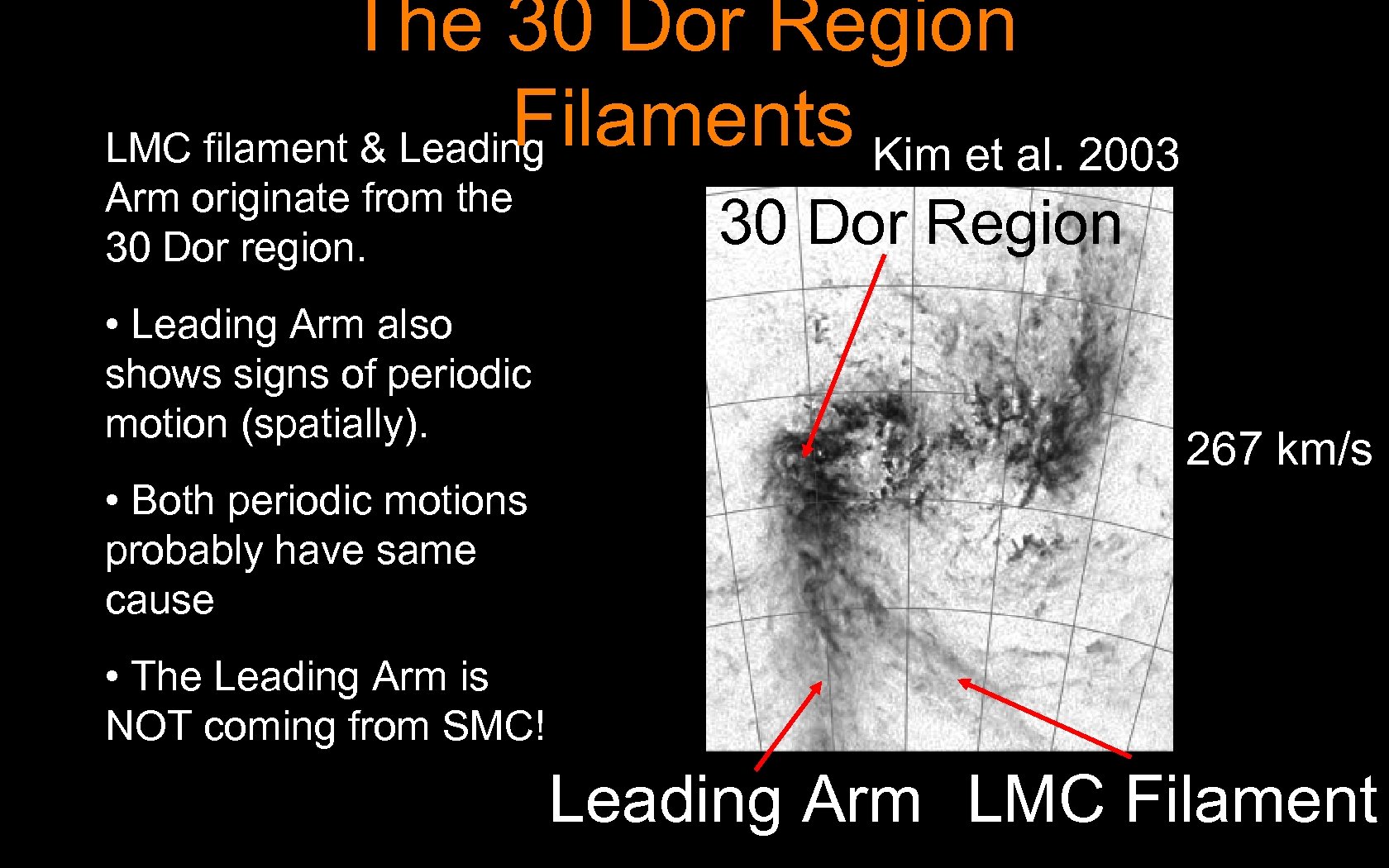 The 30 Dor Region Filaments Kim et al. 2003 LMC filament & Leading Arm