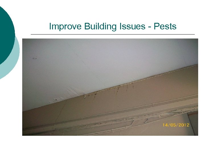 Improve Building Issues - Pests 