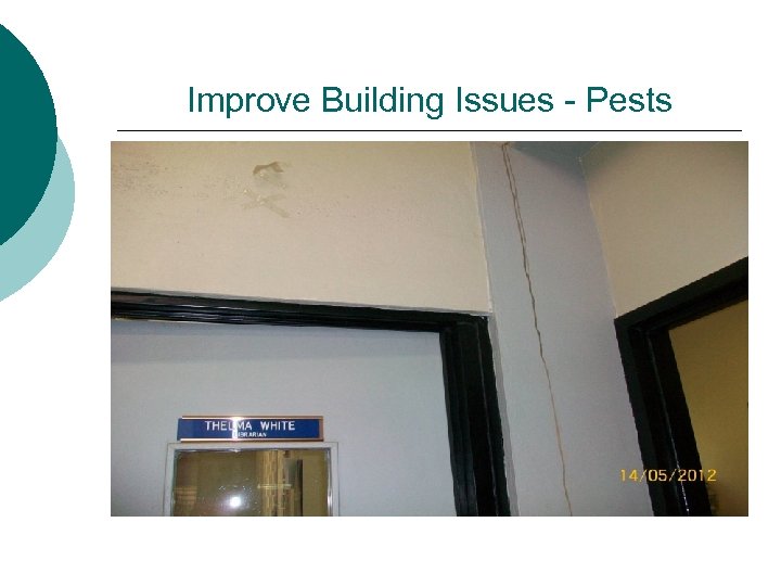 Improve Building Issues - Pests 