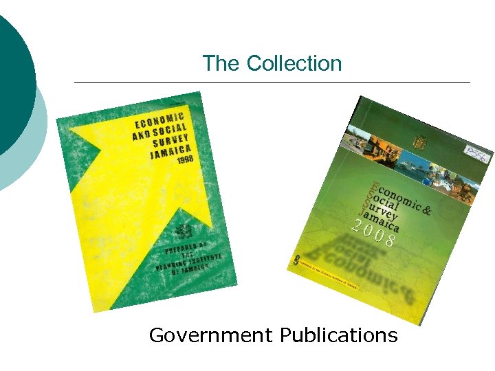 The Collection Government Publications 