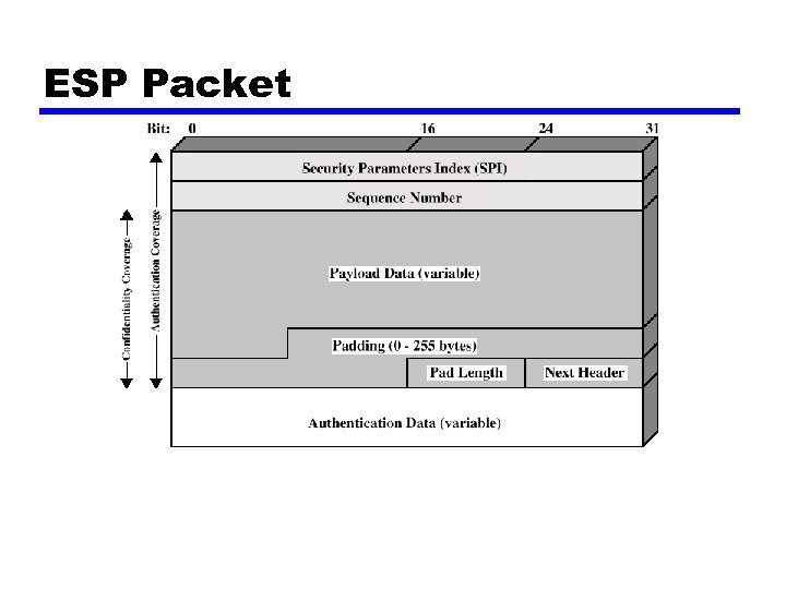 ESP Packet 