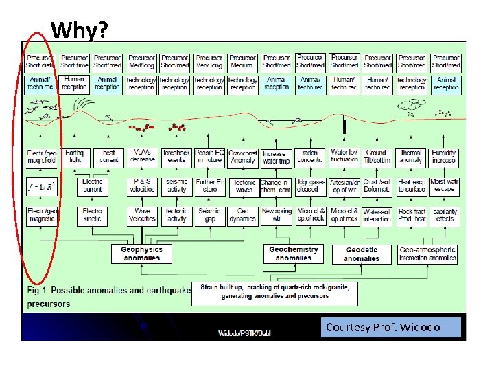 Why? Courtesy Prof. Widodo 