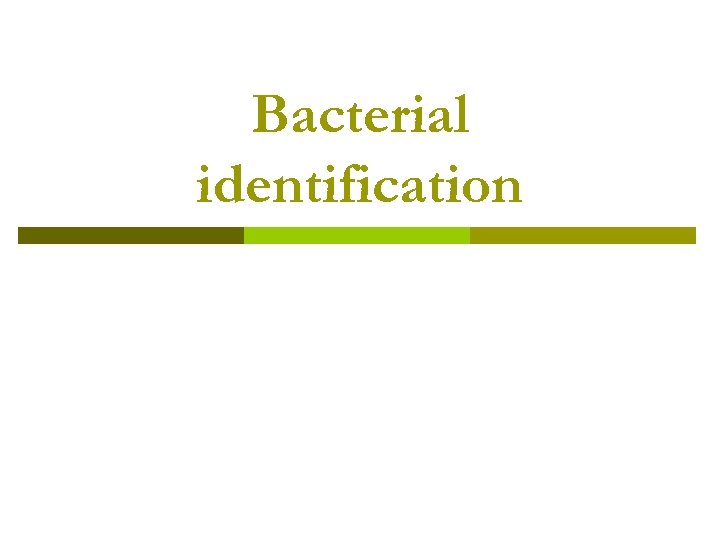 Bacterial identification 