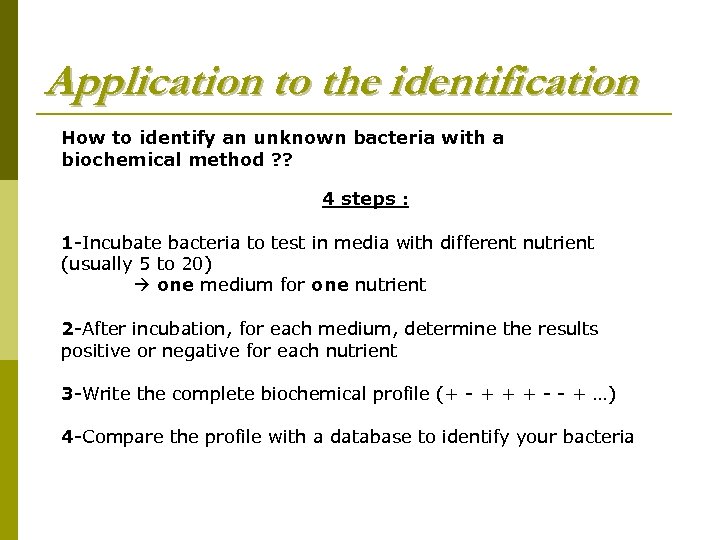 Application to the identification How to identify an unknown bacteria with a biochemical method