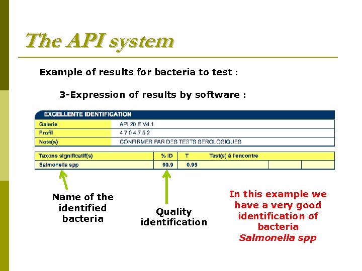 The API system Example of results for bacteria to test : 3 -Expression of