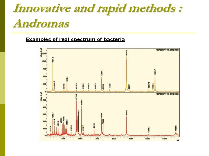 Innovative and rapid methods : Andromas Examples of real spectrum of bacteria 