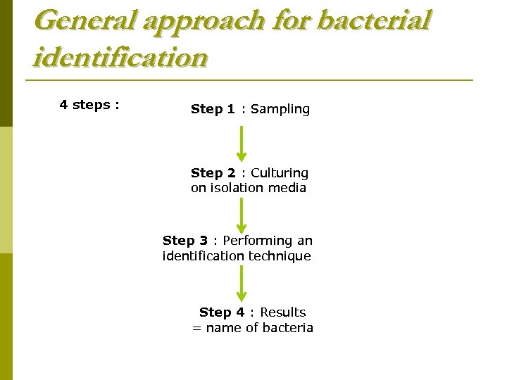 General approach for bacterial identification 4 steps : Step 1 : Sampling Step 2