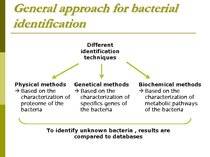 General approach for bacterial identification Different identification techniques Genetical methods Physical methods Based on