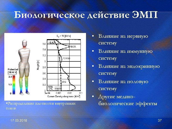 Биологическое действие ЭМП • Распределение плотности внутренних токов 17. 03. 2018 • Влияние на