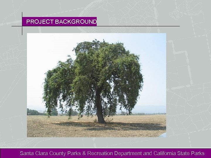 PROJECT BACKGROUND Santa Clara County Parks & Recreation Department and California State Parks 
