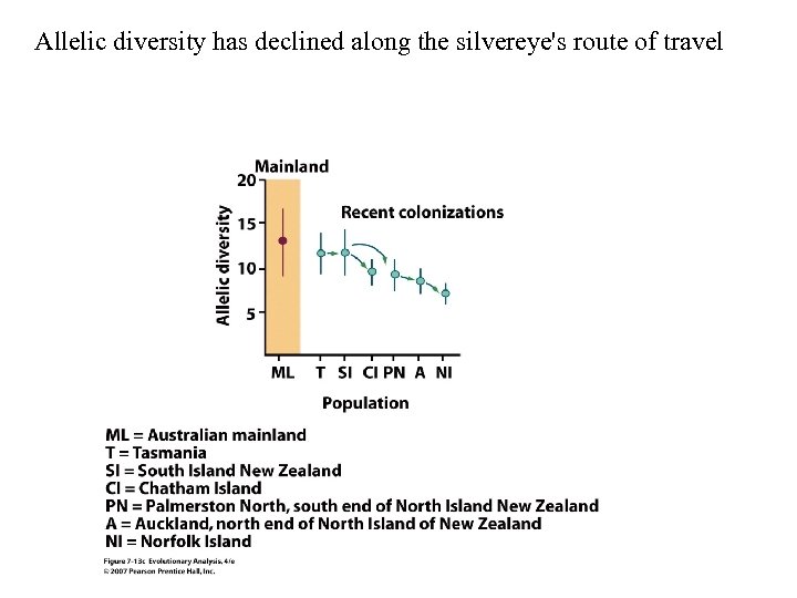 Allelic diversity has declined along the silvereye's route of travel 