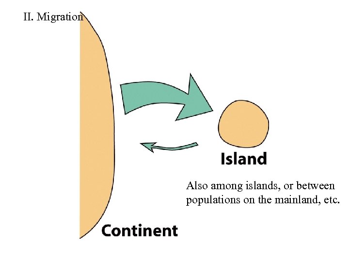 II. Migration Also among islands, or between populations on the mainland, etc. 