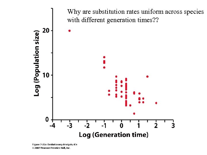 Why are substitution rates uniform across species with different generation times? ? 