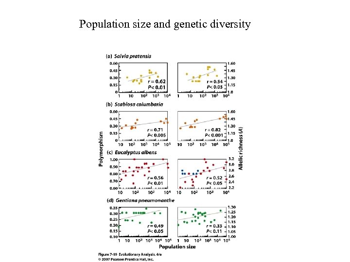 Population size and genetic diversity 