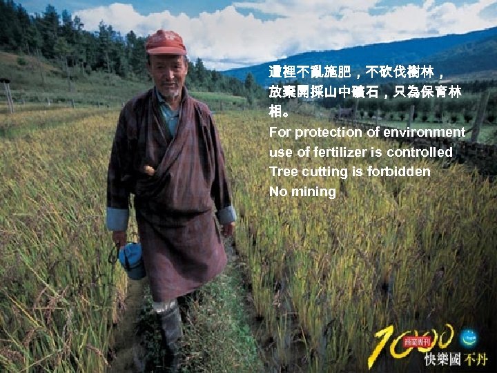這裡不亂施肥，不砍伐樹林， 放棄開採山中礦石，只為保育林 相。 For protection of environment use of fertilizer is controlled Tree cutting