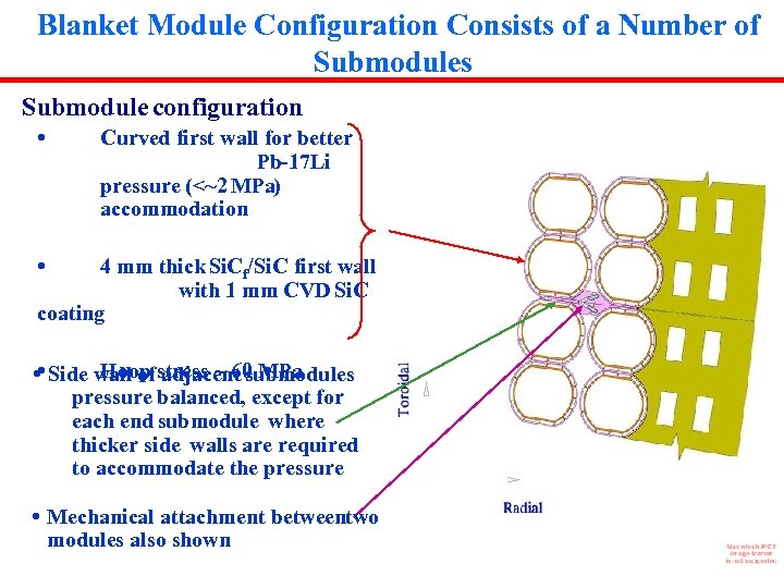 Blanket Module Configuration Consists of a Number of Submodules Submodule configuration • Curved first