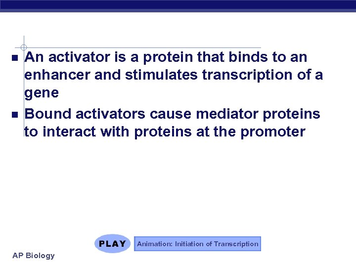  An activator is a protein that binds to an enhancer and stimulates transcription