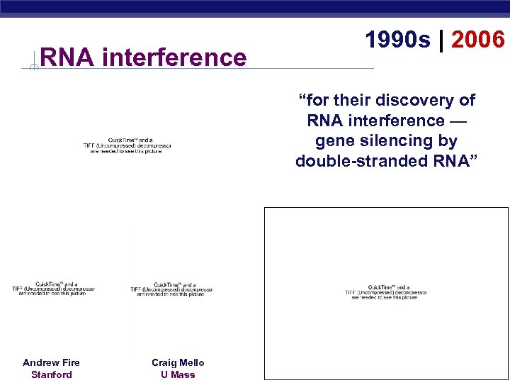 RNA interference 1990 s | 2006 “for their discovery of RNA interference — gene