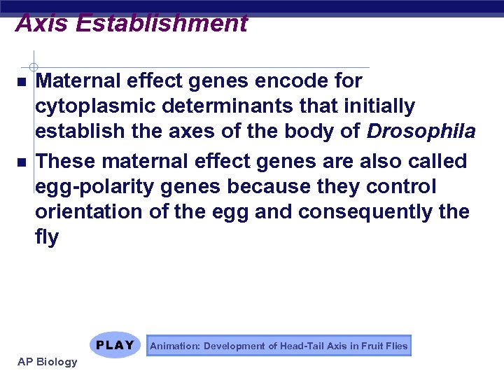 Axis Establishment Maternal effect genes encode for cytoplasmic determinants that initially establish the axes