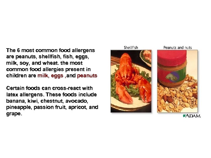 The 6 most common food allergens are peanuts, shellfish, eggs, milk, soy, and wheat.